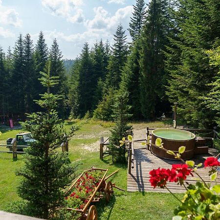 Lesna Bacowka Villa Nowy Targ Kültér fotó