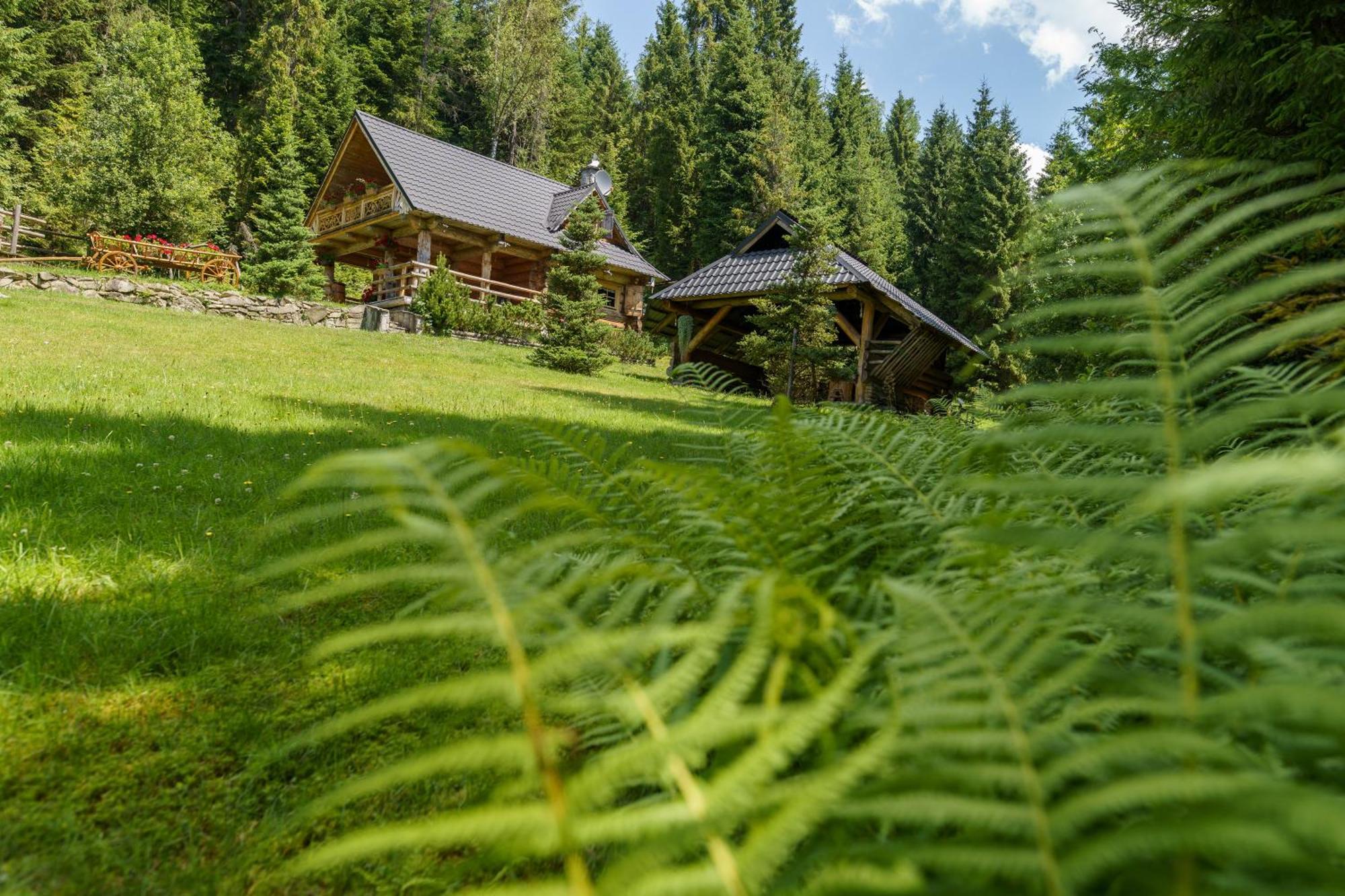 Lesna Bacowka Villa Nowy Targ Kültér fotó