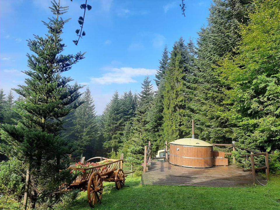 Lesna Bacowka Villa Nowy Targ Kültér fotó