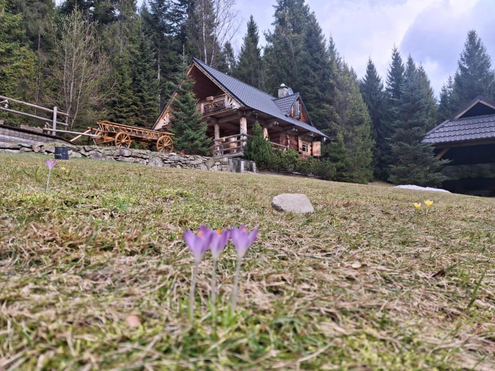 Lesna Bacowka Villa Nowy Targ Kültér fotó
